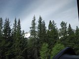 29 - Bow Lake  - IMGA0050